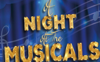 Low Waters Miners Welfare logo