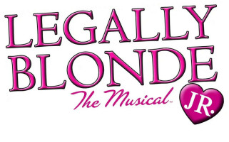 Low Waters Miners Welfare logo