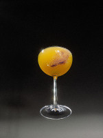 1661 drink