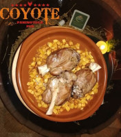 Coyote Paninoteca Pub food