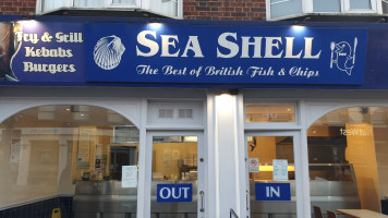 Sea Shell food