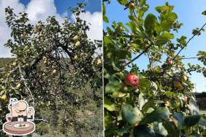 Borgo Di Vezzano food