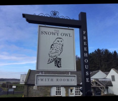 The Snowy Owl food