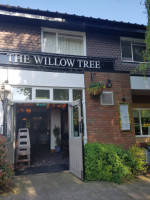Willow Tree outside