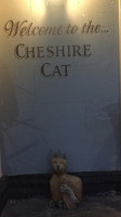The Cheshire Cat food