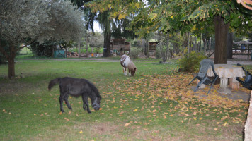 Agriturismo Al Parco outside