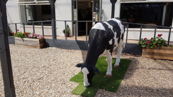 The Grazing Cow outside