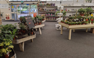 Swindon Hay Lane Garden Centre inside