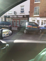 Silver Fish outside