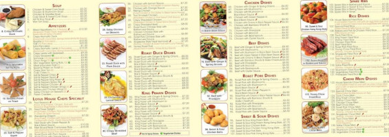 Wincanton Kebab And Pizza House menu