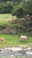 Agritur Volpaia food