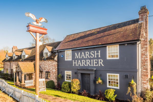 Marsh Harrier food