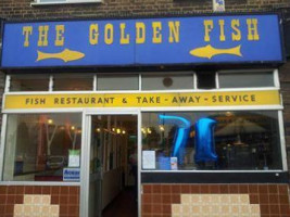 Golden Fish food