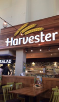 Harvester food