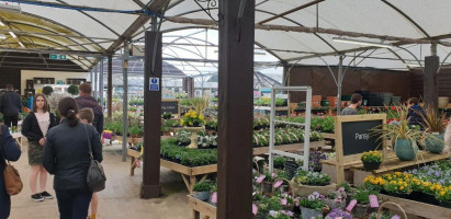 Swindon Hay Lane Garden Centre inside