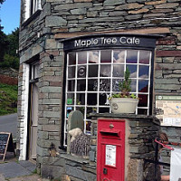 The Maple Tree Cafe outside