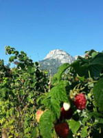 Agriturismo Busa Dei Sbrase food