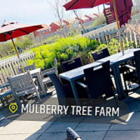 Mulberry Tree Farm inside