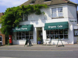 Sharp Thorne Organic Cafe outside