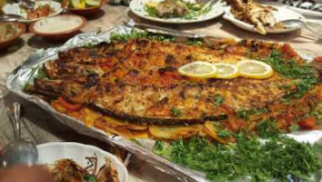 ‪wady El Nil Fish‬ food