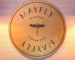 Mayfly food