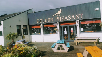 The Golden Pheasant inside