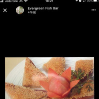 Evergreen Fish food