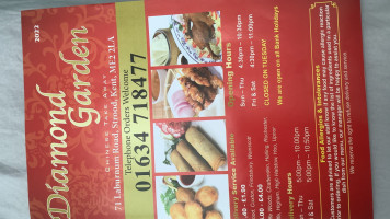 Diamond Garden Chinese Takeaway menu