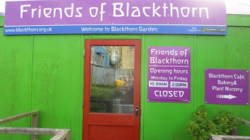 Blackthorn Garden outside