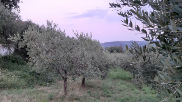 Il Rifugio Di Diana food