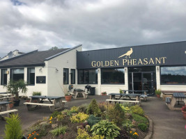 The Golden Pheasant food