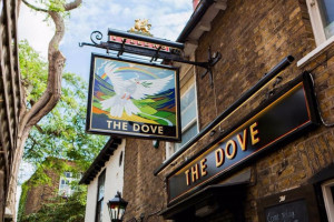 The Dove food