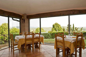 La Loggia Del Chianti food