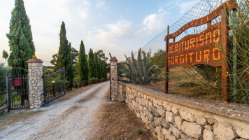 Agriturismo Sorgituro Insieme food