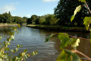 The Boat Inn food