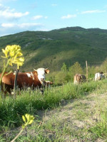 Organic Holiday Farm Ca De Fra food