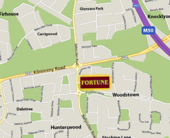 Fortune Chinese Thai Takeaway food