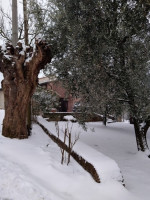 Agriturismo Monterosso Di Giorgio Acco food