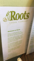 Roots food