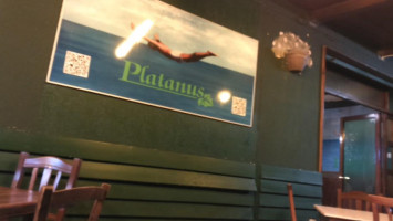 Platanus inside
