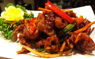 Hons Asian Cuisine food