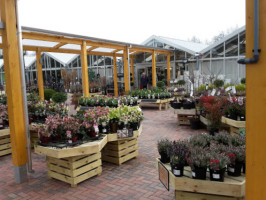 Almondsbury Garden Centre outside