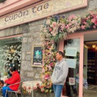 Cupan Tae Galway food