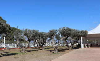 Taverna Catone Monte Porzio food