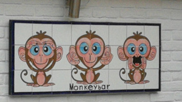 Monkey outside