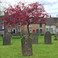 Malmesbury Abbey Cafe outside