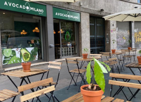 Avocado Milano food