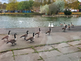 The Lakeside Cafe outside