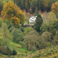 Cottage In The Wood inside