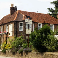 The Colney Fox outside